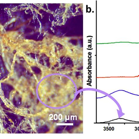 (PDF) Effect of hemp fiber length on the mechanical and thermal properties of polypropylene/SEBS ...