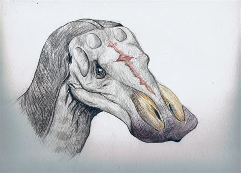 Anatotitan Pictures & Facts - The Dinosaur Database