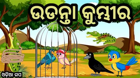 Odanta Kumbhira Tiki Chadhei Gapa Birds Story Moral Story Odia Gapa