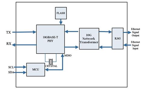 10GBASE-T vs 10GBASE-SR: What are the Differences and How to Choose ...