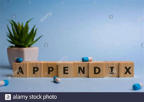 APPENDIX Word Made With Building Blocks Medical Concept Stock Photo