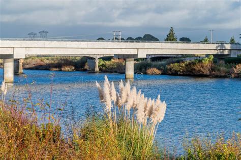 Bridge Across the Manawatu River in New Zealand Stock Photo - Image of ...