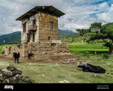 Traditional Bhutanese Farmhouse In Punakha Bhutan Stock Photo Alamy