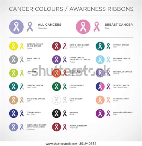 Cancer Awareness Ribbons Vector 库存矢量图（免版税）351940352 Shutterstock