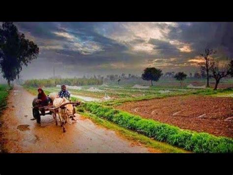 Jahangir Khan Tareen Farm House Visit YouTube