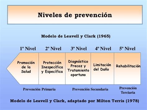 Niveles De Prevención De Leavell Y Clark Proceso Salud Enfermedad 613