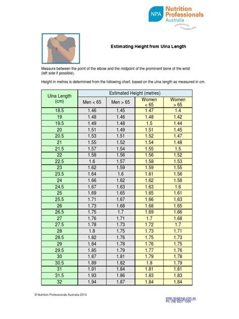 Ulna Length | PDF | Metre | Foot (Unit)