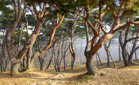 서산 해미읍성 한국관광 100선 선정 뉴스봄