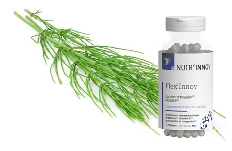 Flex Innov De Nutr Innov Avis Sur Ces G Lules Alimentaires Blune