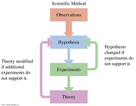 The Scientific Method Flashcards Quizlet