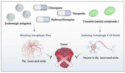 Drug Repurposing For Cancer Therapy Based On The Autophagy Mediated