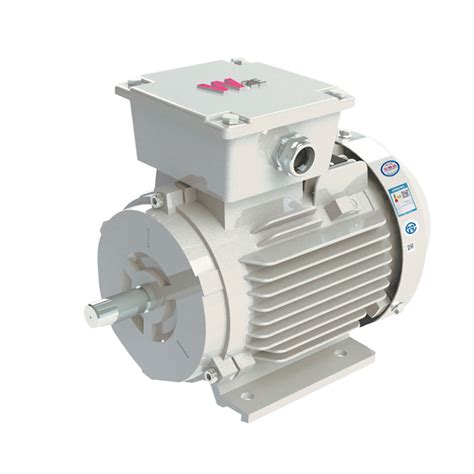 Yfb Series High Efficiency Dust Flameproof Phase Induction Motors