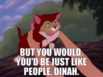 yarn video clips  quotes ef