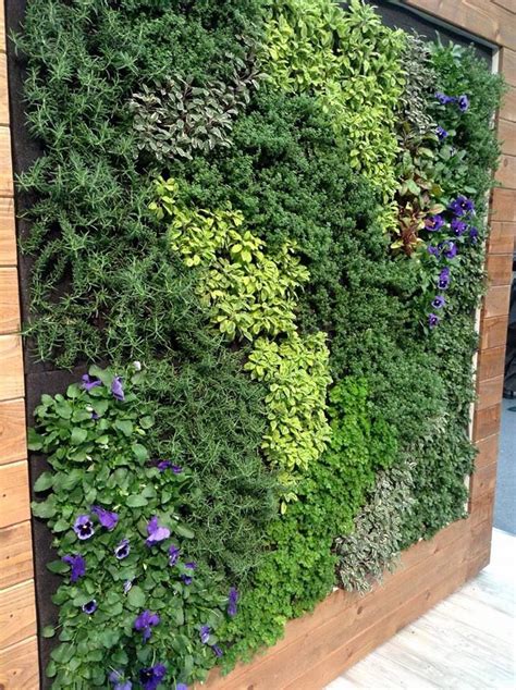 Edible Living Wall Vertical Garden Vertical Garden Wall Vertical