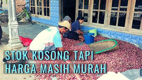 22 Maret 2022 Update Harga Bawang Merah Gimana Mau Untung Kalau Harga