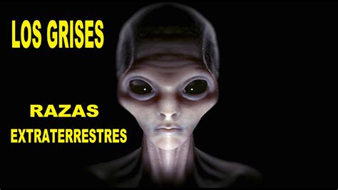 Los Grises Razas Extraterrestres Que Nos Visitan Y Que Han Estado