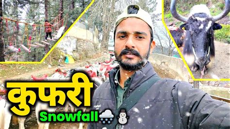 Kufri Best Tourist Place In Shimla Shimla Himachal Youtube