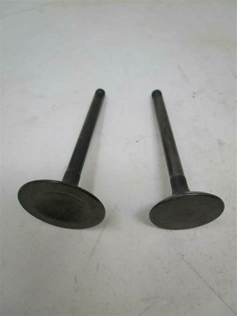 Genuine Kawasaki Intake Exhaust Valves For