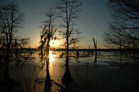 Sunset over the Bayou in Louisiana image - Free stock photo - Public ...