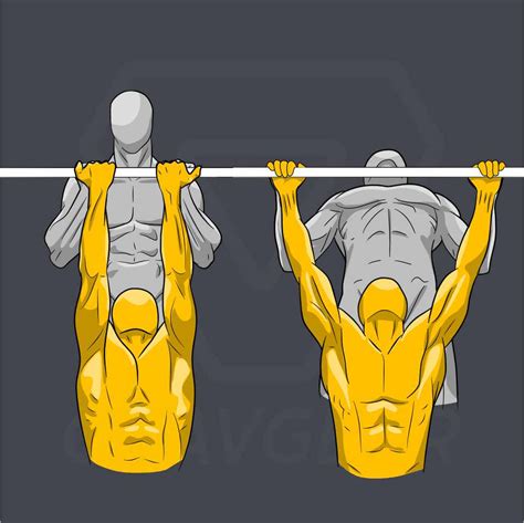 Chin Ups or Pull Ups: How to Choose the Best Upper Body Exercise – Gravgear