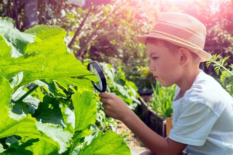 Fr Hling Mit Kindern Novodaily Ratgeber