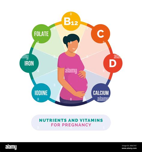 Vitaminas Y Minerales Del Embarazo Imágenes Vectoriales De Stock Alamy