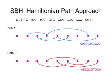 Ppt Graph Theory And Bioinformatics Jason Wengert Powerpoint Presentation Id5738226