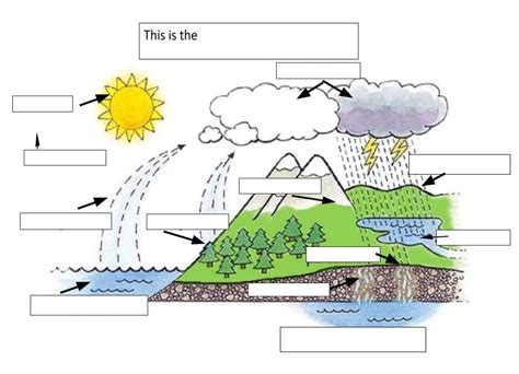 Water Cycle Vocabulary With Diagram Diagram Quizlet