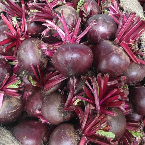 A Grade Pan India Ooty Beetroot Packaging Type Gunny Bag Packaging