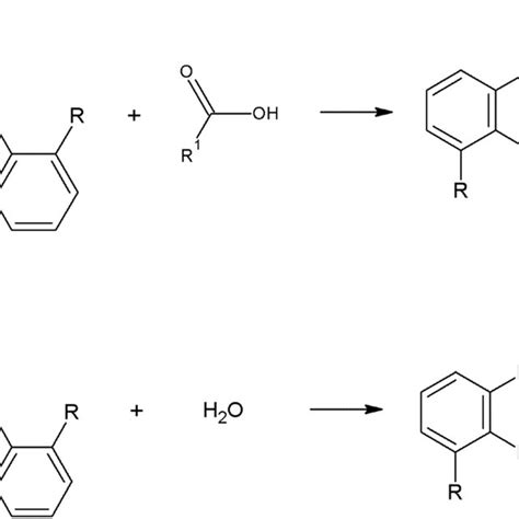 Mechanism Of Reaction Of The Carbodiimide Sites With A Carboxylic End