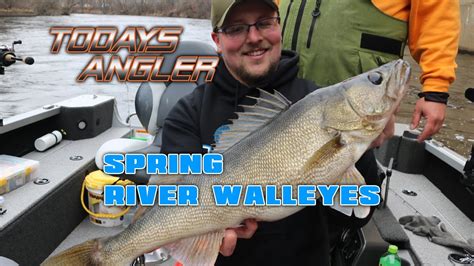 Spring River Walleyes Todays Angler Powerhouse Walleyes Youtube