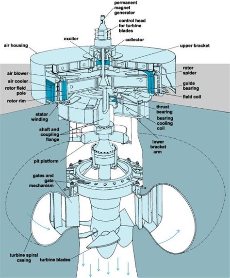 Hydroelectric Turbine Diagram