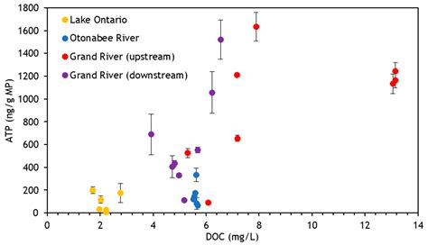 Toxics Free Full Text Assessment Of Biofilm Growth On Microplastics