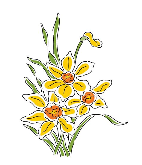 Premium Vector Hand Drawn Daffodil Vector Flowers Line Art