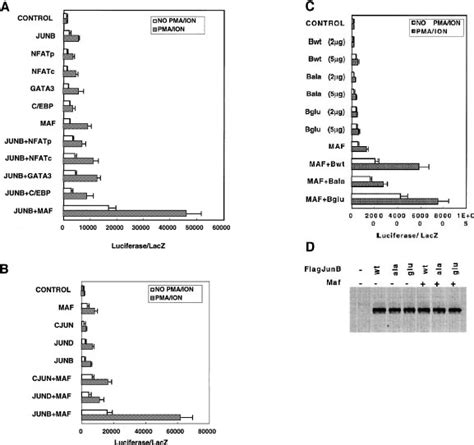 Regulation Of Il‐4 Expression By The Transcription Factor Junb During T Helper Cell