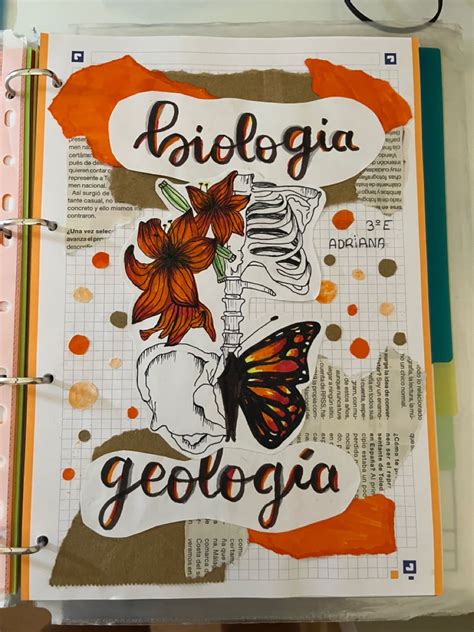 Portada Aesthetic Book Art Diy Biology Projects Mini Drawings