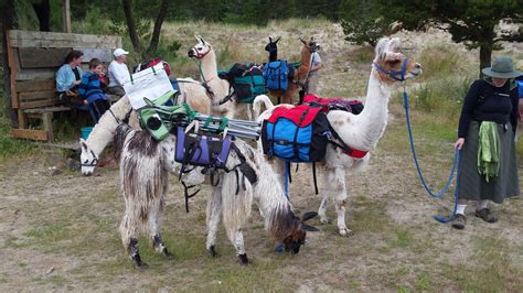 Links Naked Capitalism