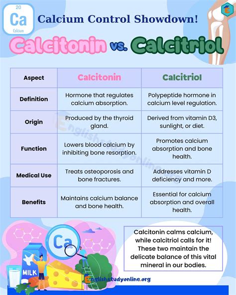 Calcitonin vs. Calcitriol: Understanding the Key Differences - English ...