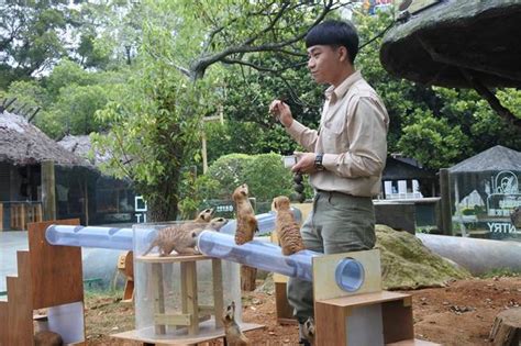 六福村保育員打造動物樂園 台灣黑熊「爬床」超萌 旅遊 中時