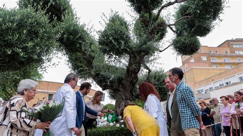 Día Nacional Del Donante De Órganos En Sevilla Historias De Duelo Y