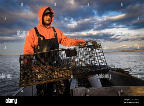 Commercial Fisherman Hauling Crab Trap In Fishing Boat Stock Photo Alamy