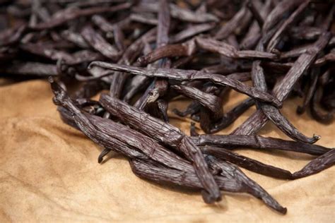 Tahitian Vanilla Beans Gourmet Grade B Pods Best Options In 2023