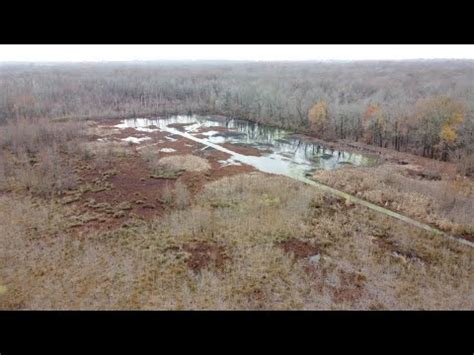 Middle Fork Forked Deer River Youtube