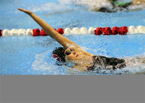 Swimming Harvard Swimming And Diving Clinics