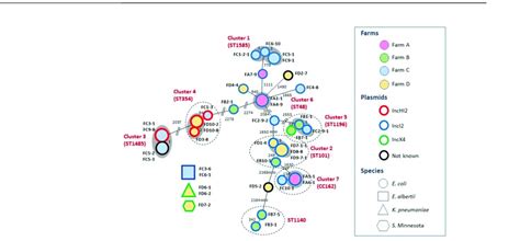 Minimum Spanning Tree Based On The CgMLST Of The Mcr Carrying