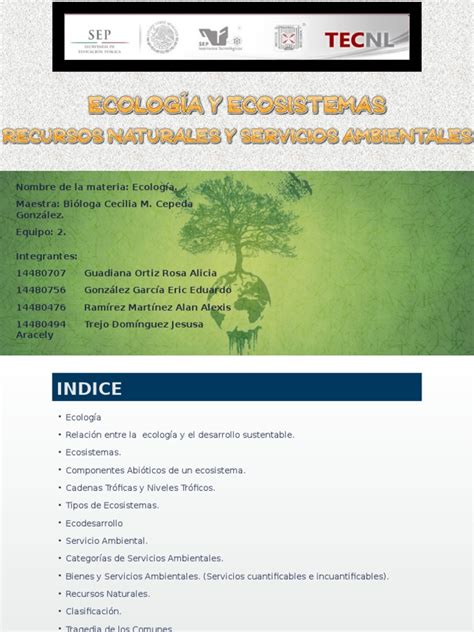 PDF Ecosistemas Recursos Nat Y Servicios Ambientales 1 DOKUMEN TIPS