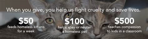 DONATE – Charleston Animal Society