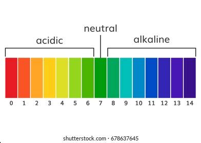 Ph Chart Acid And Base | Labb by AG