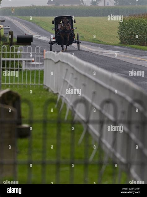 Horse drawn amish buggy hi-res stock photography and images - Alamy