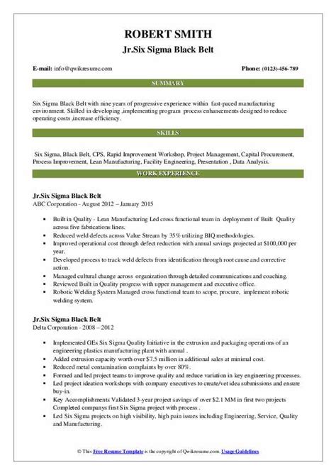 Best Of Black Belt Six Sigma Consultant Resume Sample Six Sigma Black